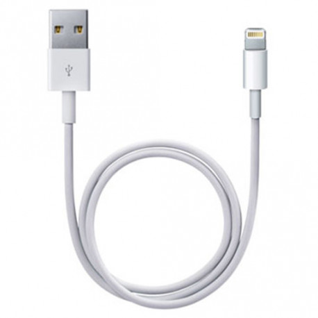 Câble Apple Lightning vers USB (tous modèles, longueur standard 1m)