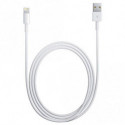 Câble Apple Lightning vers USB (tous modèles, grande longueur 3m)