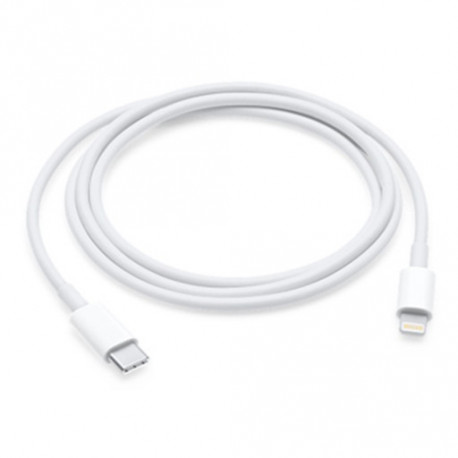 Apple Câble USB-C vers Lightning (1m)