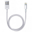 Apple Câble Apple Lightning USB (2m)