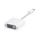 Apple Adaptateur Mini DisplayPort ou Thunderbolt vers DVI