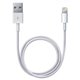 Apple Câble Lightning USB (1m)