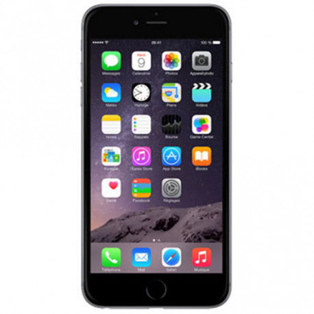 Apple iPhone 6 Plus 16Go Gris Sidéral