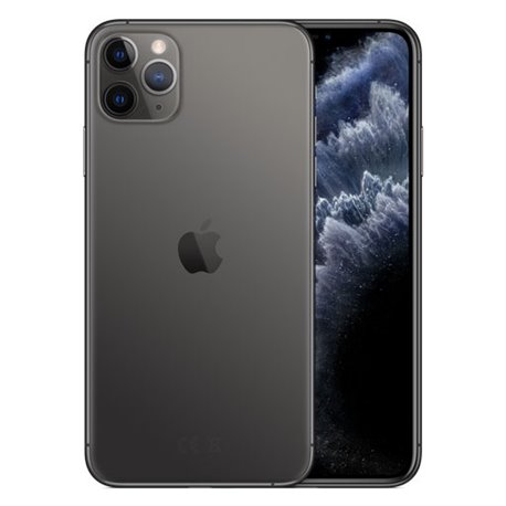 Apple iPhone 11 Pro Max 256Go Gris sidéral MWHJ2 (late 2019)