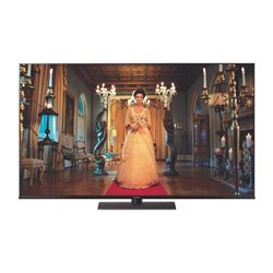 Panasonic TV LED Ultra HD 49" TX-49FX740E