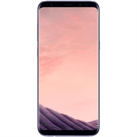 Samsung Galaxy S8+ 64Go Gris Orchidée