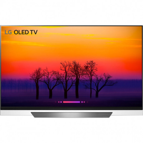 LG TV OLED 55E8 Reconditionné