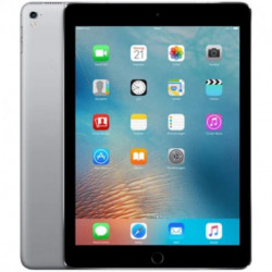 Apple iPad Pro 9,7” Wi-Fi Cellular 128Go Gris Sidéral MLQ32