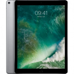 Apple iPad Pro 12,9” Wi-Fi 256Go Gris Sidéral MP6G2