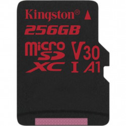 256GB MICROSDXC CR 100R/80W