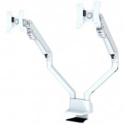 DESK MOUNT DUAL 10-32IN WHITE