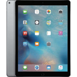 Apple iPad Pro 12,9” 128Go (Wi-Fi + Cellulaire) gris sidéral ML2I2 (fin 2015)