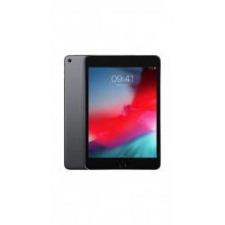 Apple iPad mini 7,9'' 64Go Wi-Fi (Gris sideral) MUQW2 (early 2019)