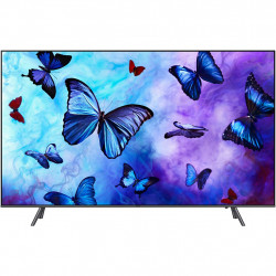 Samsung TV QLED QE49Q6F 2018 (occasion)