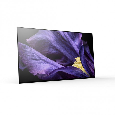 Sony TV OLED 55AF9BAEP Android TV (occasion)