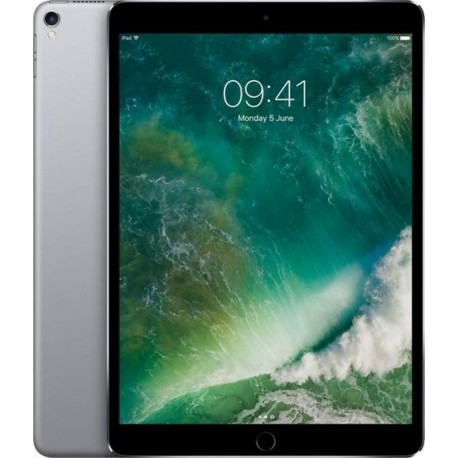 Apple iPad Pro 12,9” Wi-Fi 256Go Gris Sidéral MP6G2