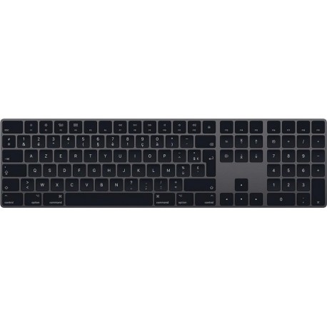 APPLE MAGIC KEYBOARD NUMERIC KEYPAD GRIS SIDERAL MRMH2F/A