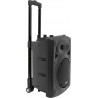 Ibiza Enceinte sono PORT8VHF-BT