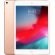 APPLE IPAD MINI WI-FI 256GB doré MUU62TY/A