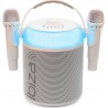 Ibiza Enceinte sono KARAHOME-WH